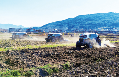 春启新程话三农 ——从四个故事里看中央一号文件精神的十堰实践