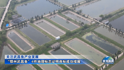 “鄂州武昌鱼”4件地理标志证明商标成功续展