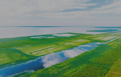 锚定保Ⅳ争Ⅲ 洪湖“浪打浪”气象新