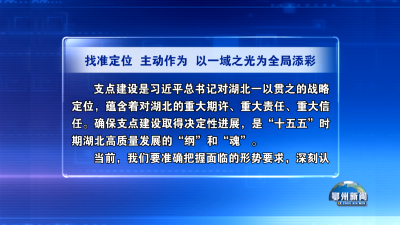 找准定位  主动作为  以一域之光为全局添彩