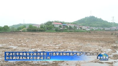 孙兵调研高标准农田建设工作.mp4