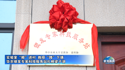 华农银发专家科技服务站扎根梁子湖