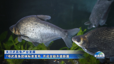 7项武昌鱼团体标准发布  开启全链升级新篇