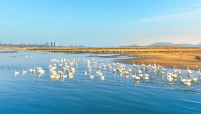 这八篇文章，写在“立规之地”