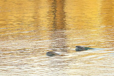 经得起人民检验的政绩，究竟长什么样？