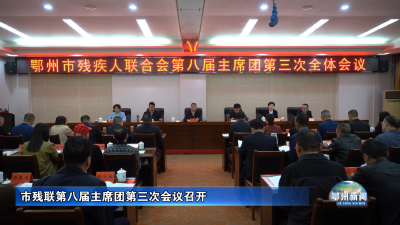 市残联第八届主席团第三次会议召开