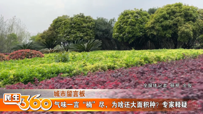 气味一言“楠”尽，为啥还大面积种？专家释疑