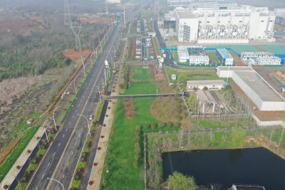 葛店经开区滨江二路绿廊工程圆满通过竣工验收