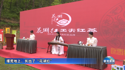 撂荒地上，长出了“花湖红”