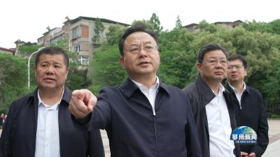 孙兵调研洋澜湖综合治理工作