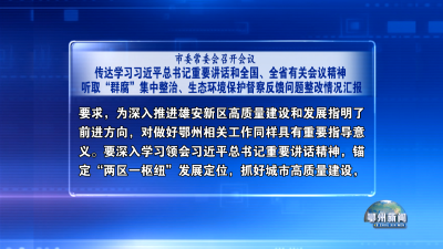市委常委会召开会议
