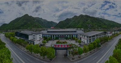 打开一片叶子的无限可能