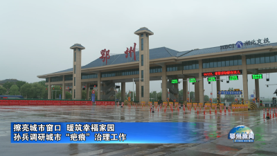 孙兵调研城市“疤痕”治理工作