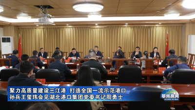 孙兵王玺玮会见湖北港口集团党委书记周勇士