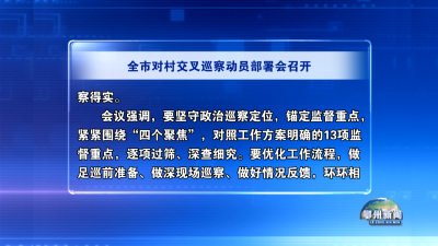 全市对村交叉巡察动员部署会召开