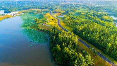 追风长江畔，枝江何以全国首站？