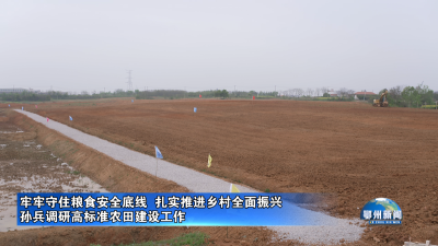 牢牢守住粮食安全底线  扎实推进乡村全面振兴