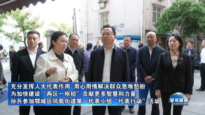 孙兵参加鄂城区凤凰街道第一代表小组“代表行动”活动