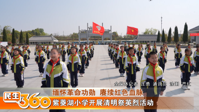 紫菱湖小学开展清明祭英烈活动