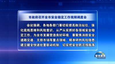 市政府召开全市安全稳定工作视频调度会