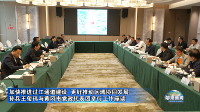 孙兵王玺玮与黄冈市党政代表团举行工作座谈