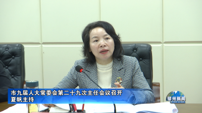 市九届人大常委会第二十九次主任会议召开