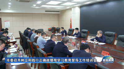 市委召开树立和践行正确政绩观学习教育督导工作培训会