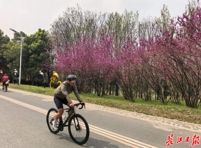 城市密码 | 你知道汉口怎么“长大”的吗？答案就在这条堤上