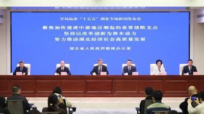 李殿勋出席开局起步“十五五”湖北专场新闻发布会