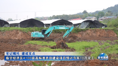 临空经济区4100亩高标准农田建设项目预计今年10月完工
