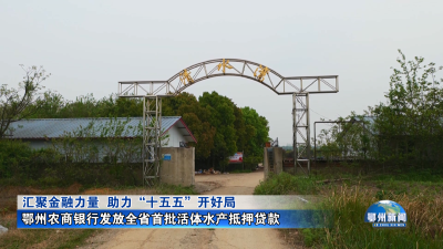 鄂州农商银行发放全省首批活体水产抵押贷款