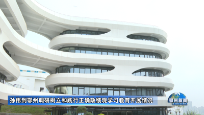 孙伟到鄂州调研树立和践行正确政绩观学习教育开展情况.mp4