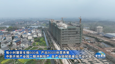 中新开维产业园二期冲刺投产  全产业链赋能食品产业升级