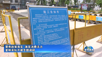 夏帆率队开展专题调研