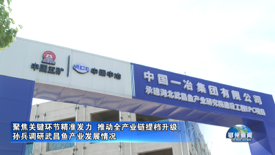孙兵调研武昌鱼产业发展情况