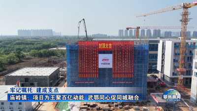 庙岭镇：项目为王聚百亿动能  武鄂同心促同城融合