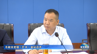 市政协党组（扩大）会议召开