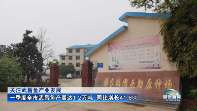 一季度全市武昌鱼产量达1.2万吨