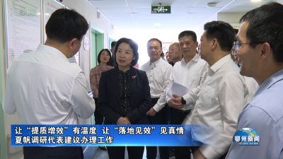 夏帆调研代表建议办理工作