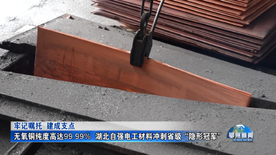 湖北电工自强材料冲刺省级“隐性冠军”