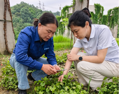 “最美科技工作者”黄桂云的愿望：把珍稀植物种满祖国大地