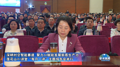 莲花山AI讲堂“每月一讲”主题报告会举行