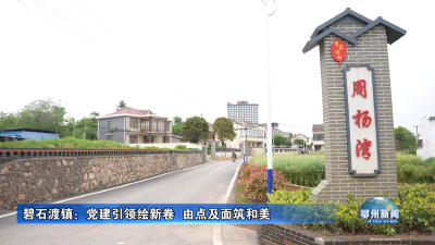 碧石渡镇：党建引领绘新卷  由点及面筑和美