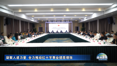 凝聚人道力量  全力推动红十字事业提质增效
