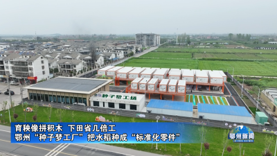 鄂州“种子梦工厂”把水稻种成“标准化零件”