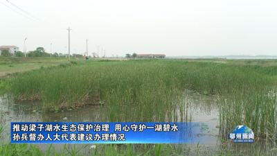 孙兵督办人大代表建议办理情况