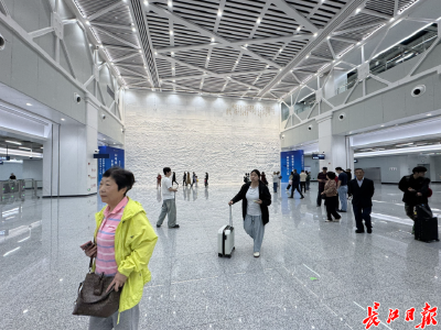 12号线这面墙为什么这么火，听听设计者怎么说