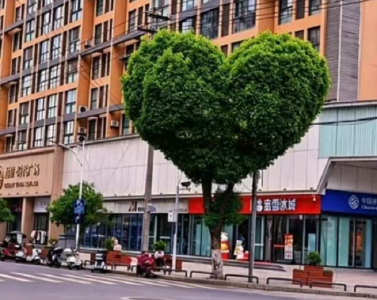 网友提出一个浪漫建议，十堰：立即安排！