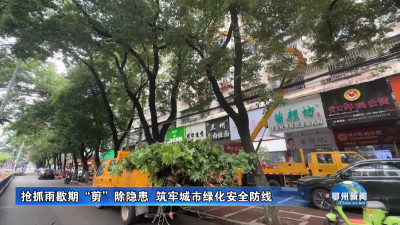 抢抓雨歇期“剪”除隐患  筑牢城市绿化安全防线