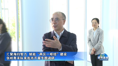 张柏青率队来我市开展专题调研